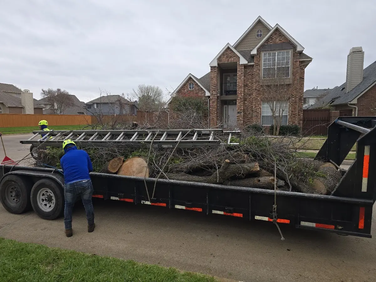 Expert Tree Fertilization with proper safety equipment in Lake City